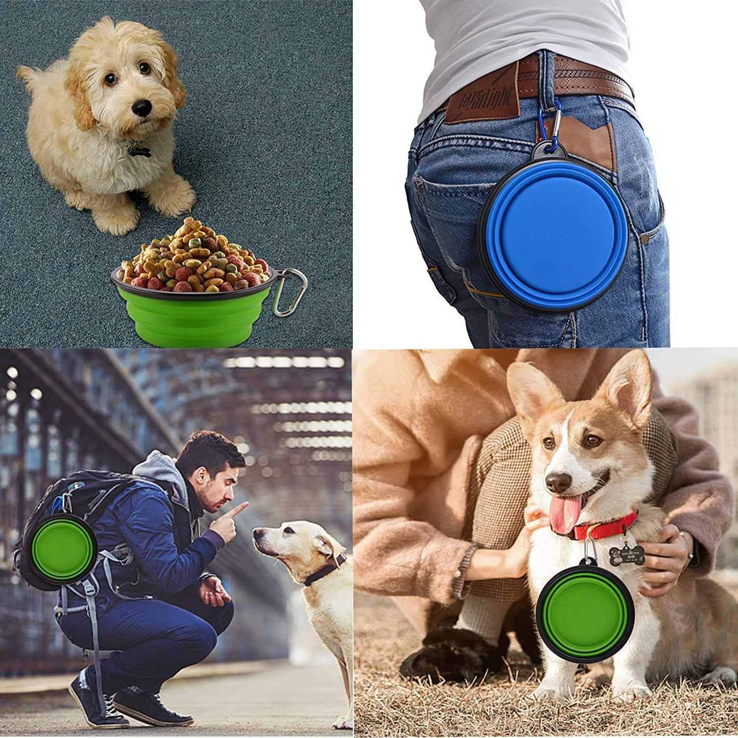 Large Collapsible Dog Bowls, 34oz Travel Water Food Bowls Portable Foldable Collapse Dishes with Carabiner Clip, 2 Pack (Purple+Red)
