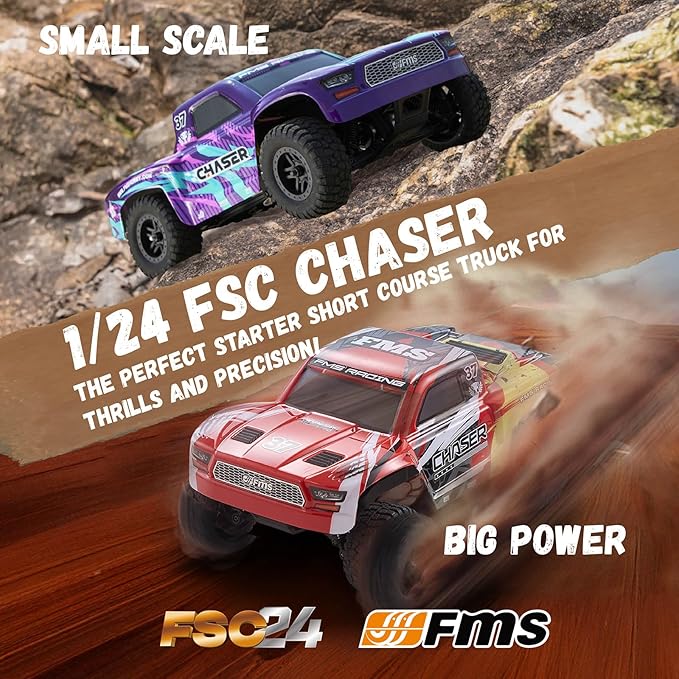 BEEZRC 1/24 FSC Chaser RC Truck 4WD Short Course Truck RTR Fast Off-Road Remote Control Truck Hobby RC Car High Speed Remote Control Car for Adults for Beginner Gift (Purple)