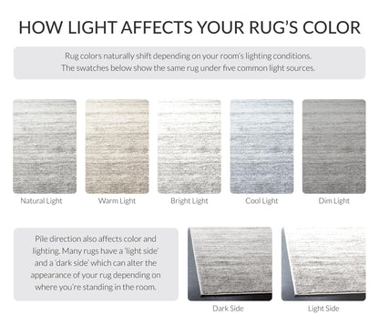 SAFAVIEH Area Rug 8x10 - Adirondack Collection - Large - Ivory & Silver, Modern Ombre Design, Non Shedding & Easy to Clean, Ideal for Living Room, Bedroom, Office, Dining Space (ADR113B)