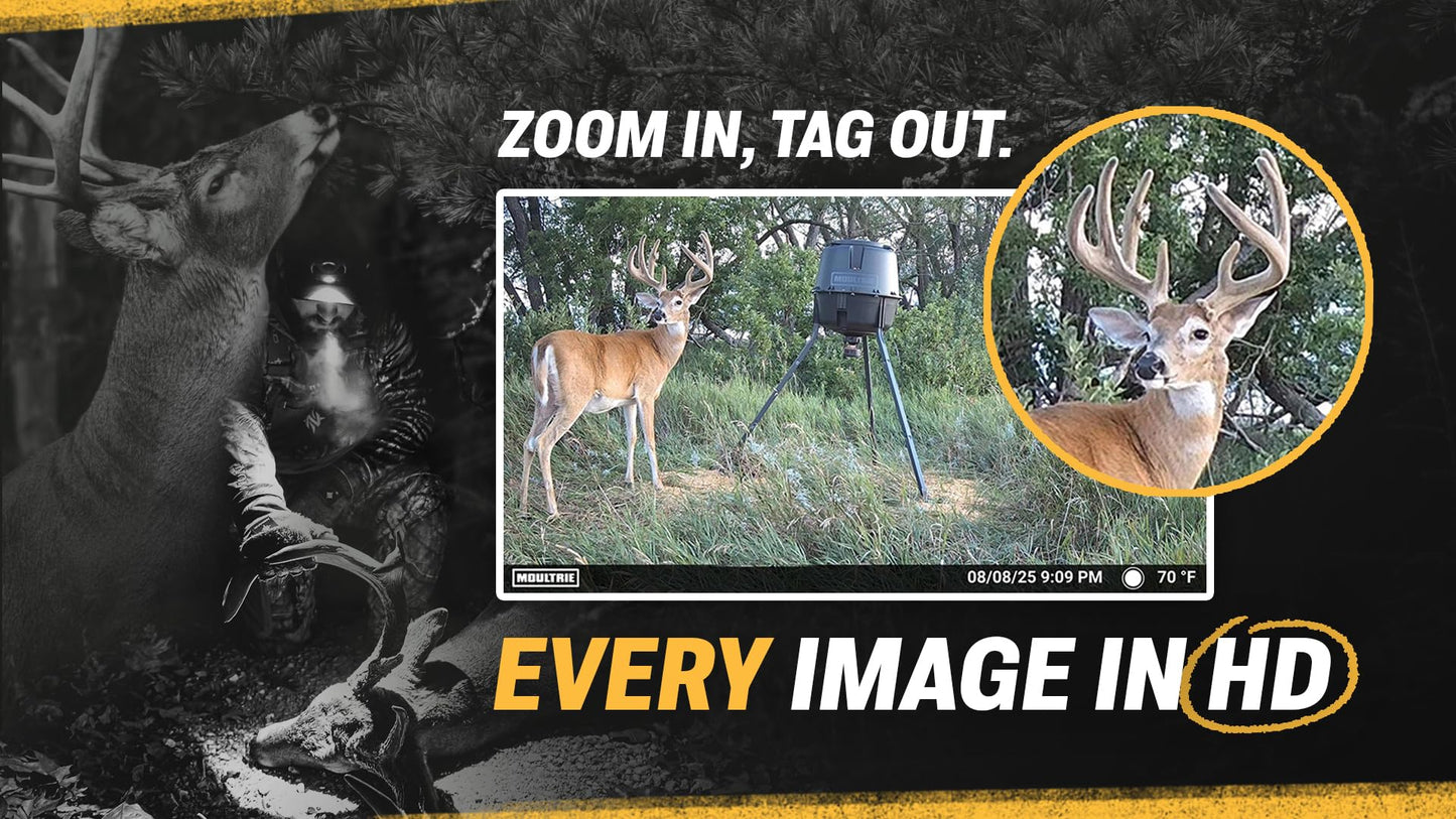 Moultrie Edge 3 Cellular Trail Camera - 2 Pack - 40MP HD Photo Capture - 1080p Low-Glow Flash - GPS - Multi-Carrier Auto-Connect - Built-in Memory - 0.5s Trigger Speed - AI Buck Detection