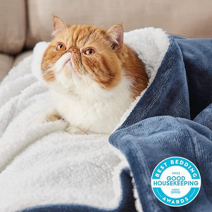 Bedsure GentleSoft Sherpa Fleece Throw Blanket Twin Size for Couch - Thick and Warm Throw for Men, Soft Fuzzy Plush Twin Blanket for Winter, Slate Blue, 60x80 Inches