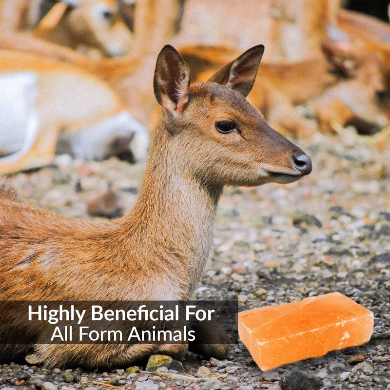 Himalayan Nature 100% Natural Himalayan Rock Deer Salt Licking Block - Animal Licking Mineral Salt Block, Natural Feed Salts Bricks For Deer and Livestock Animals - 5 Lbs, 2x4x8 inch, Pack of 1