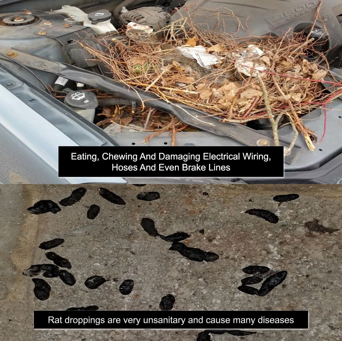 Mice/Mouse, Rat, Squirrel & Rodent Wire, Engine & Vehicle Protection Spray Prevents Chewing & Nesting for Cars, Trucks, RV’s, ATV’s. Great for Winter Protection. Ready to Use (128 Oz Gallon)
