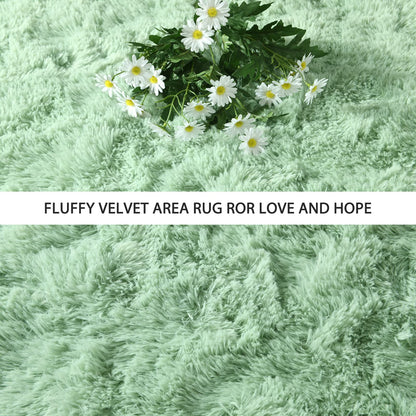 Pettop Fluffy Sage Green Area Rug for Bedroom Living Room, 4x6 Feet Soft Plush Fuzzy Rugs for Girls Kids Boys, Non-Slip and Washable Rug for Nursery Classroom, Carpet for Rooms Decor