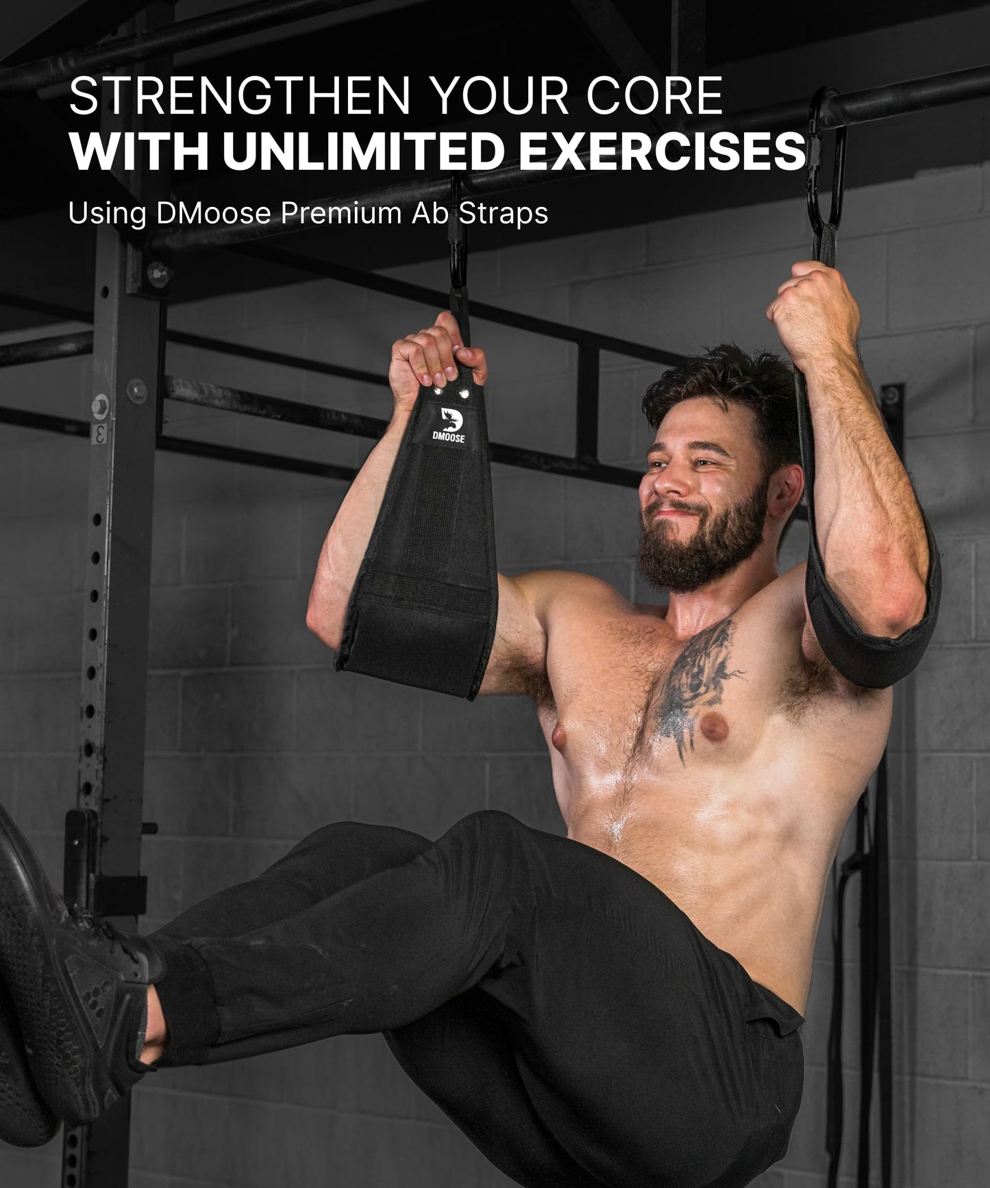 DMoose Fitness Premium Ab Straps for Abdominal Muscle Building, Arm Support for Ab Workout, Hanging Ab Straps for Pull Up Bar Attachment, Ab Exercise Gym pullup Equipment for Men Women (Grey)