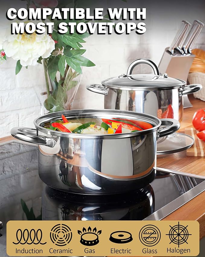 Cook N Home Basics 5.5 Quart Stainless Steel Stock Pot with Lid, Cooking Pot for Pasta, Soup, Sturdy Handle, Stockpot with Even Heating, Oven & Dishwasher Safe, Cookware for Canning, Boiling, Simmer