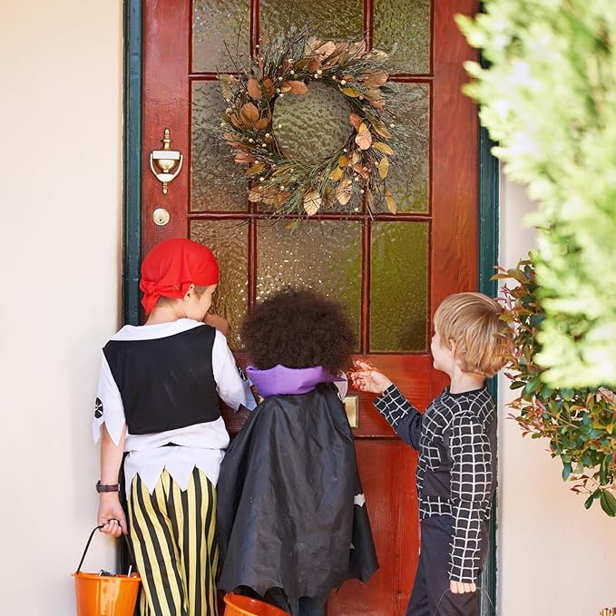 26 Inch Fall Wreath for Front Door Pip Berry Pinecone Autumn Wreath with Pine Needle and Magnolia Leaves, Large Grapevine Wreaths for Fall Door Decor Farmhouse Wall Window Home Decoration