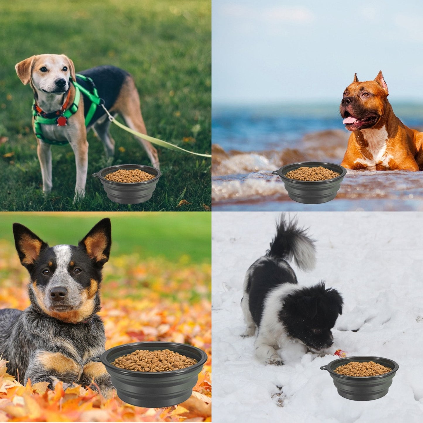 Comsun 2-Pack Extra Large Size Collapsible Dog Bowl, Foldable Expandable Cup Dish for Pet Cat Food Water Feeding Portable Travel Bowl Blue and Green
