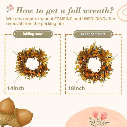 YNYLCHMX 18" Fall Wreaths for Front Door, Artificial Autumn Wreath with Cape Gooseberry and Ginkgo Leaves for Home Porch Window Wall Farmhouse Decor, Indoor Outdoor, Holiday Decor