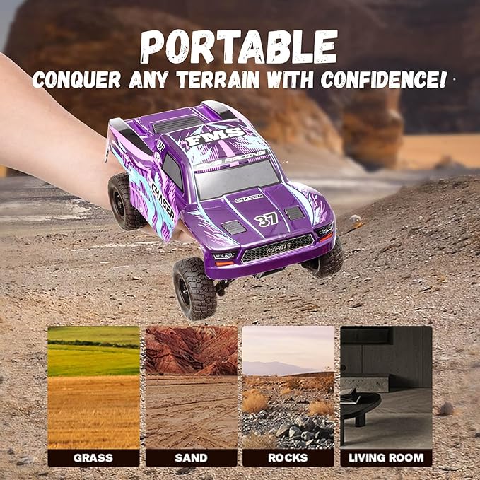 BEEZRC 1/24 FSC Chaser RC Truck 4WD Short Course Truck RTR Fast Off-Road Remote Control Truck Hobby RC Car High Speed Remote Control Car for Adults for Beginner Gift (Purple)