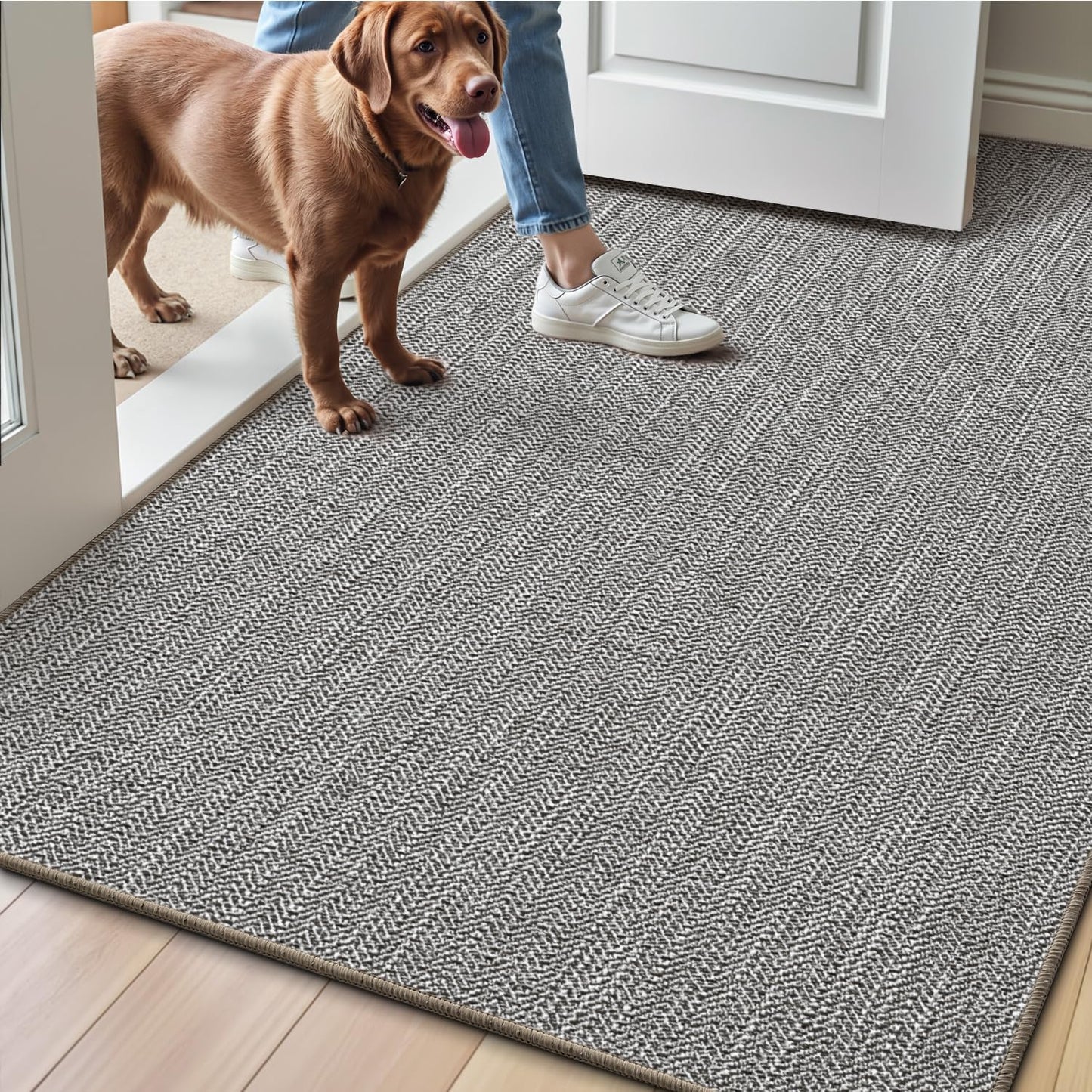 LUMI 17"x30" Ultra Thin Indoor Door Mat, Non-Slip Rubber Dirt Trapper