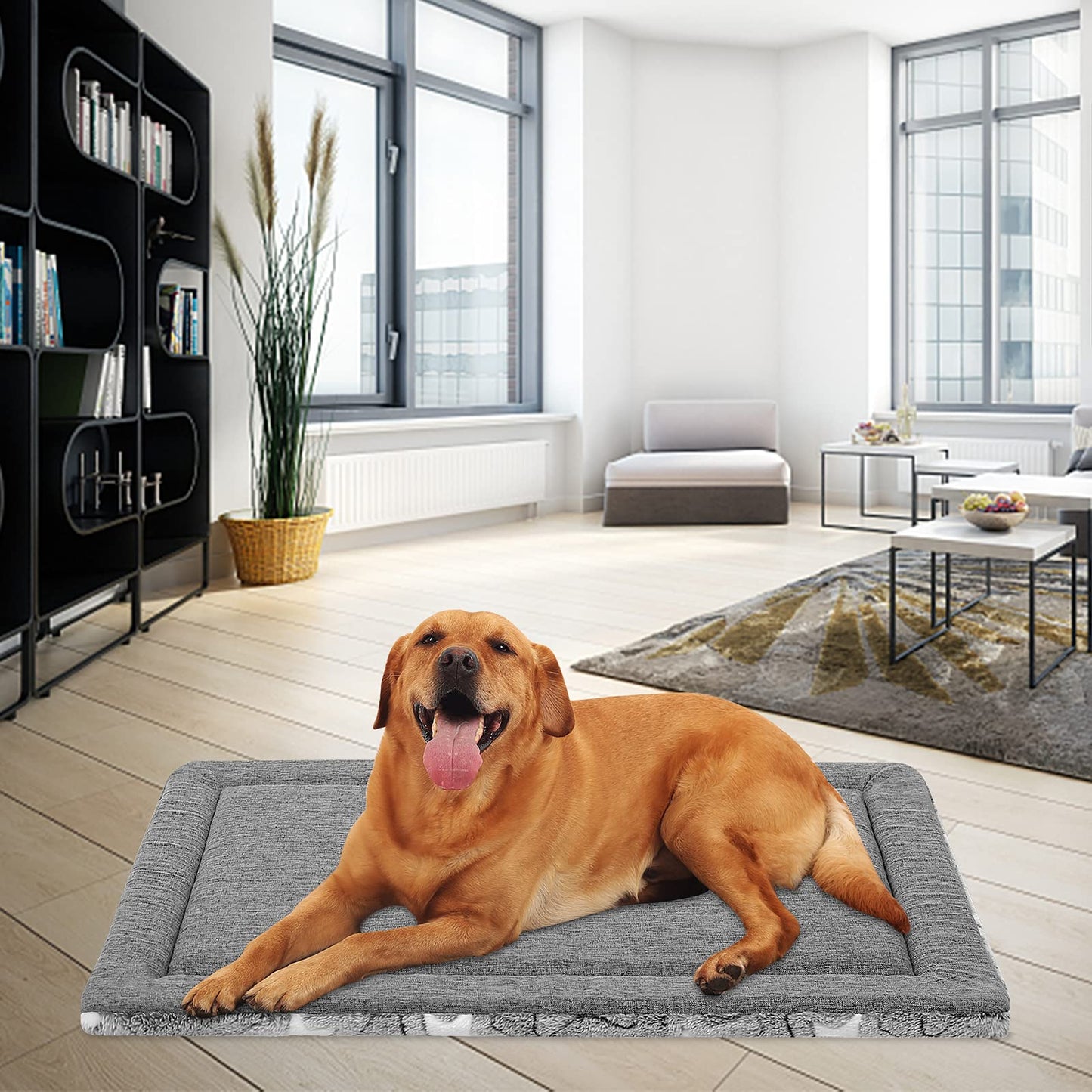 EMPSIGN Dog Crate Pad - Reversible Kennel Mat (Cool & Warm), Machine Washable, Cozy Star Pattern Sleeping Pad for Small Medium Large Dogs, All-Season Pet Bed, Suitable for 42"x28" Dog Crate, Grey