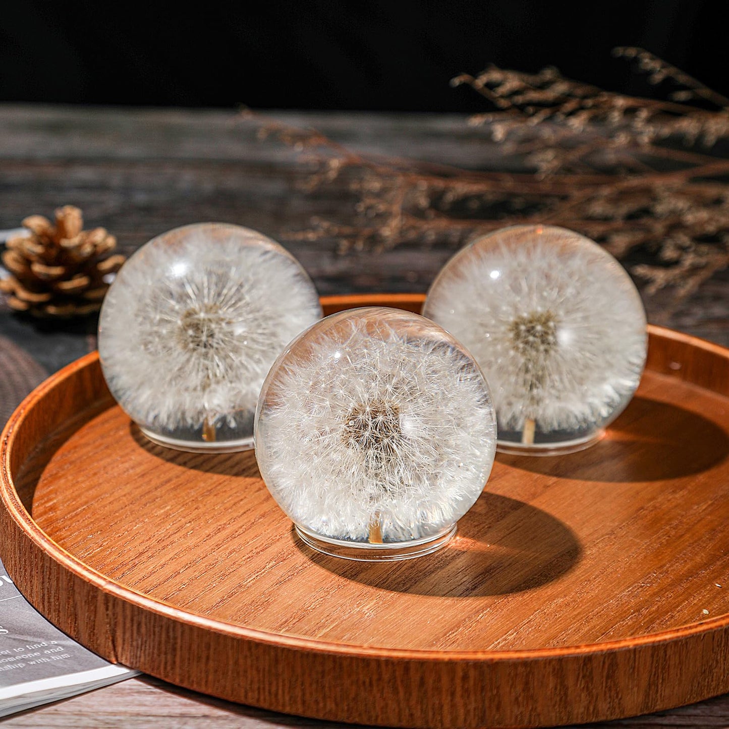 1st Heaven Dandelion Paperweight – Real Dandelion in Crystal Glass Ball, Unique Gift & Home Office Decor, Symbol of Luck, Hope, and Wishes for Birthday, Graduation, Wedding