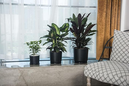 Ekirlin 9 inch Plant Pots,Ceramic Flower Planters Indoor,Modern Succulents Containers with Drain Hole Saucer,Decorate Home,Office & Outdoor (Black)