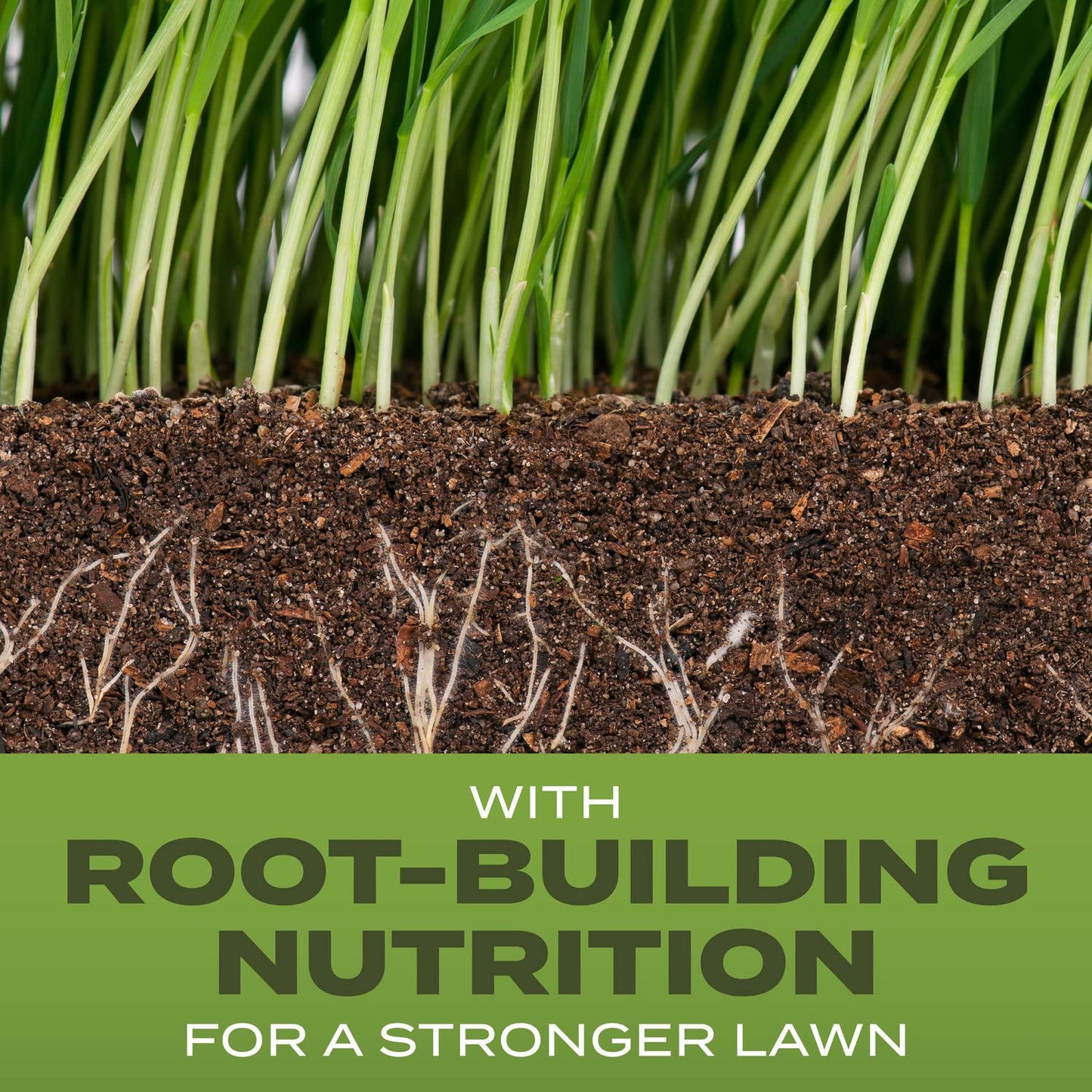 Scotts Turf Builder Grass Seed Tall Fescue Mix, 32 lbs.