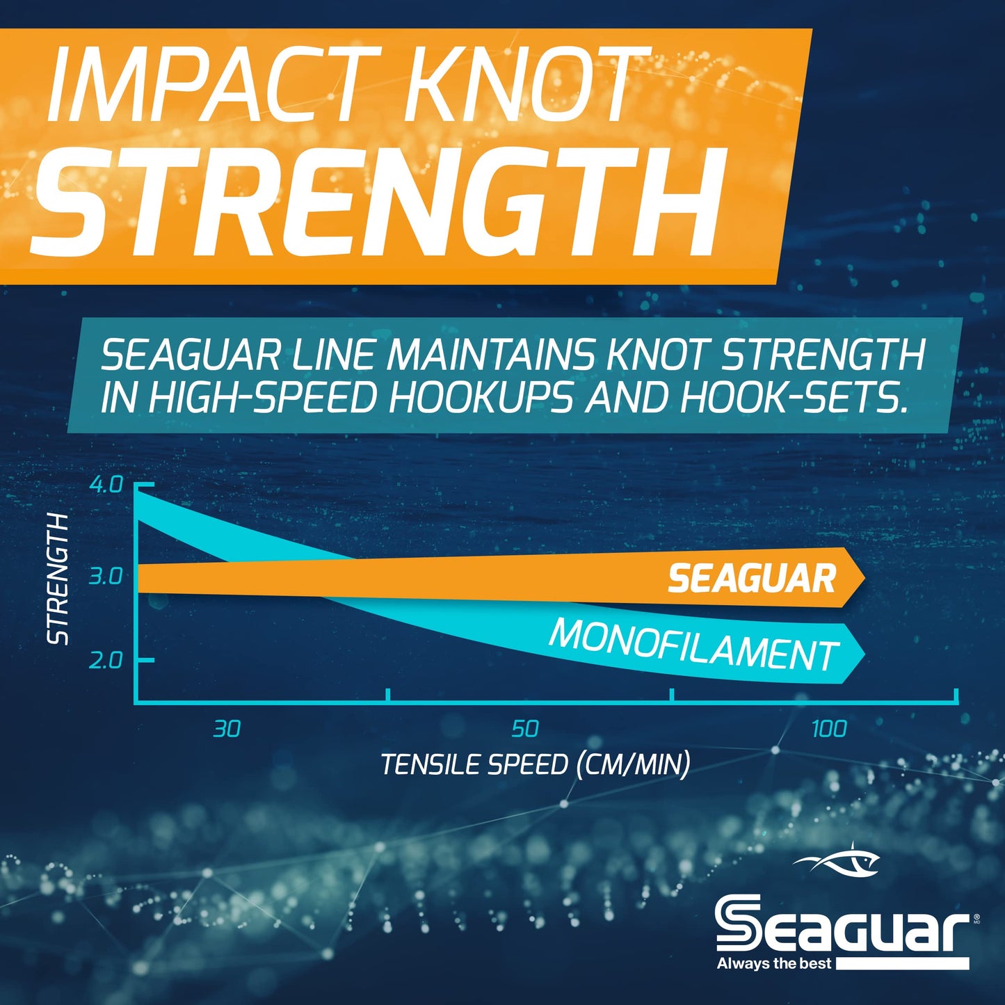 Seaguar Blue Label 100% Flourocarbon Fishing Line Leader, 60lbs, 50yds Break Strength/Length - 60FC50