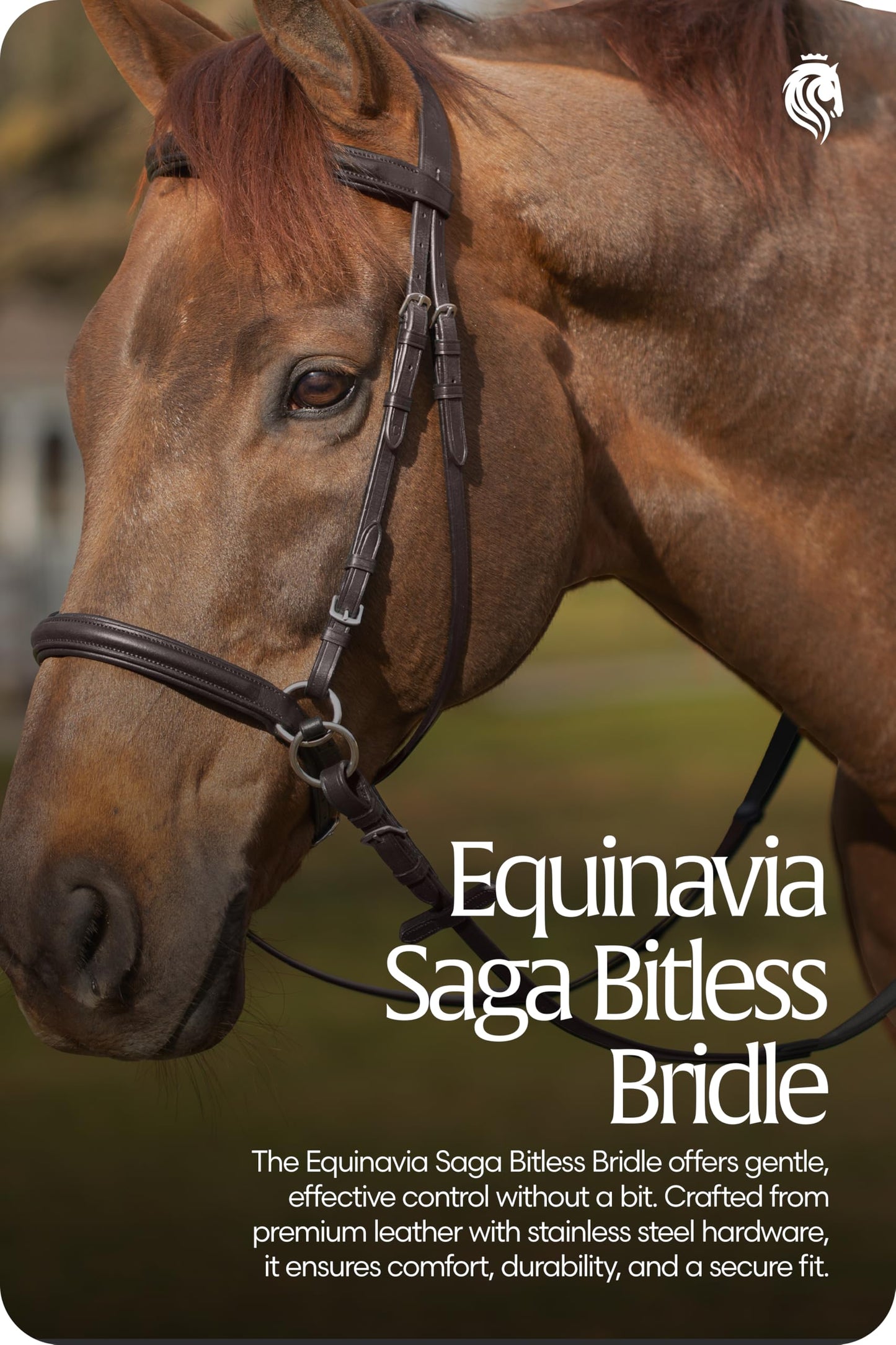 Equinavia Saga Cross-Under English Bitless Bridle for Horses | Reins Included - Chocolate Brown - Cob