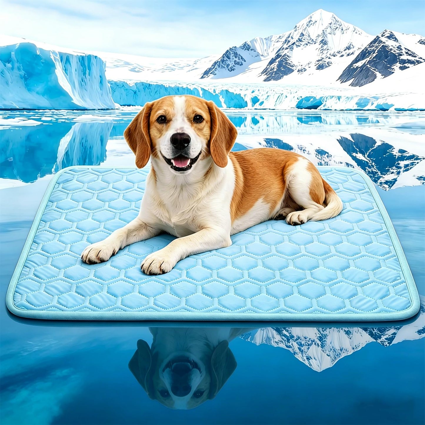 dgdgbaby Arc-Chill Dog Cooling Mat, Non-Slip Washable Portable Cool Pad
