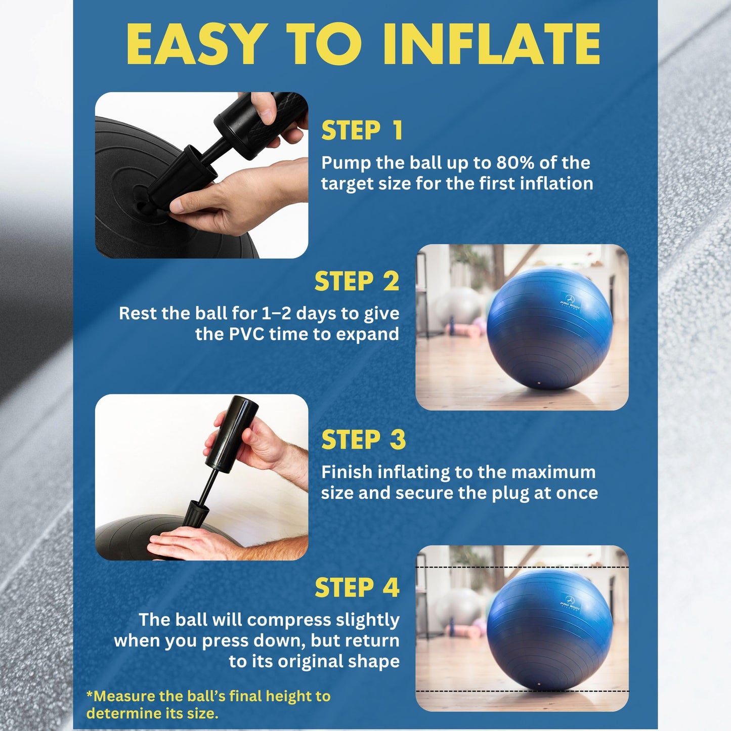 ProBody Pilates Exercise Ball - Multiple Sizes Gym Grade Balance Ball for Fitness, Workout, Pregnancy & Physical Therapy, Stability Yoga Ball Chair (Black, 65 cm)