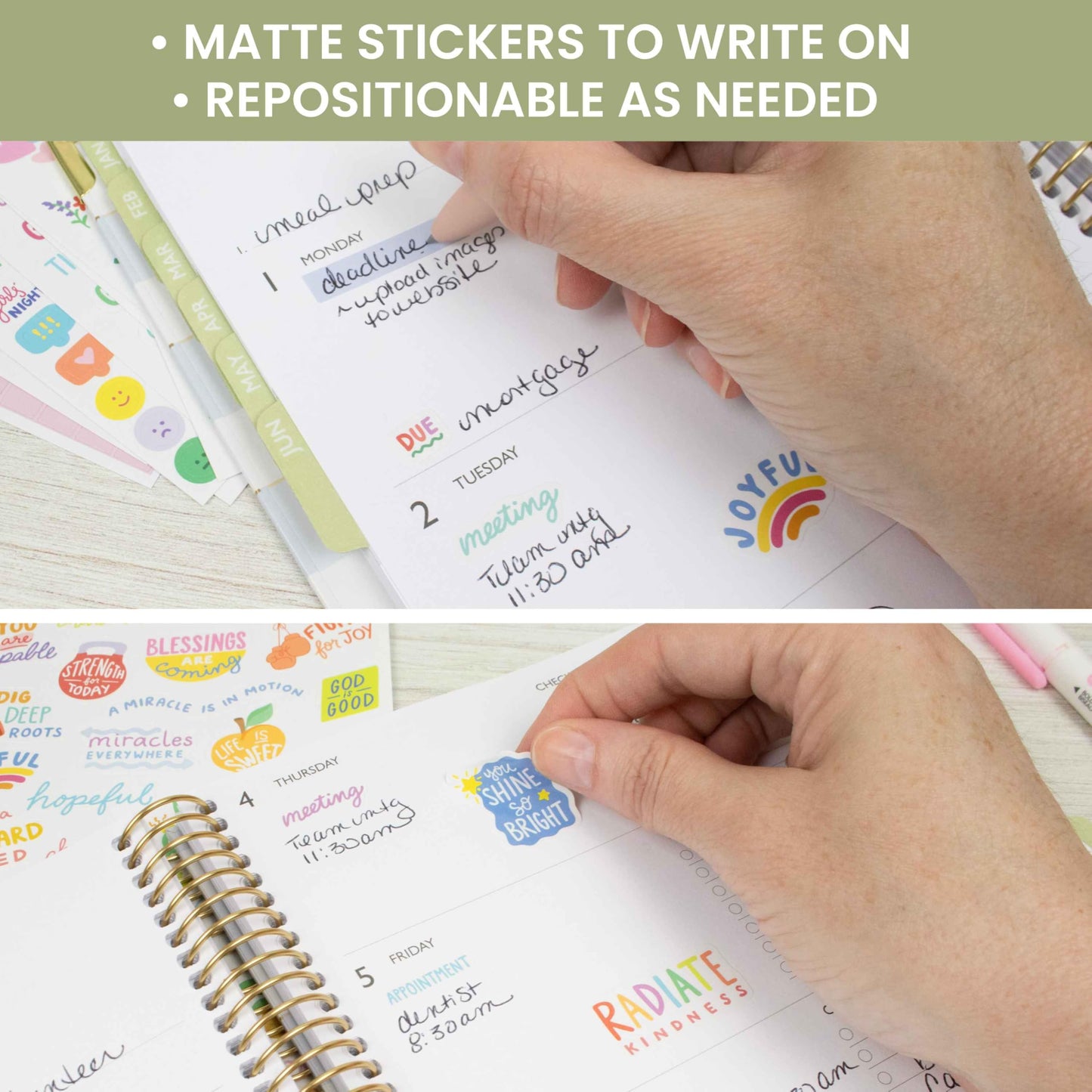 bloom daily planners x Cleerely Stated Rooted in Faith Sticker Pack - 8 Sheets /540 Stickers - Christian Planner Stickers for Journaling, Religious Encouragement, Bible Study, Prayer & Devotionals