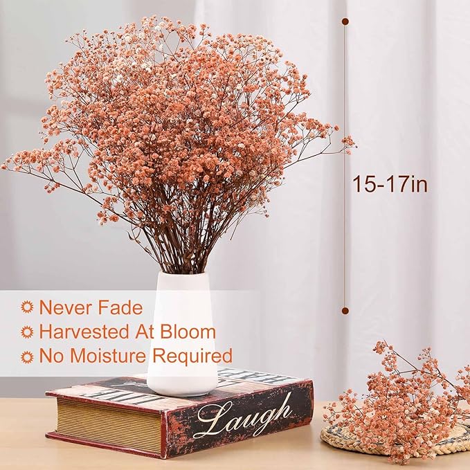 Babys Breath Dried Flowers Bouquet-17'' 3200+ Ivory Dry Flowers, Natural Gypsophila Branches for Wedding, Home Table Vase Decor, DIY Wreath Floral, Fall Thanksgiving Autumn Decoration (Brown, 3.5oz)