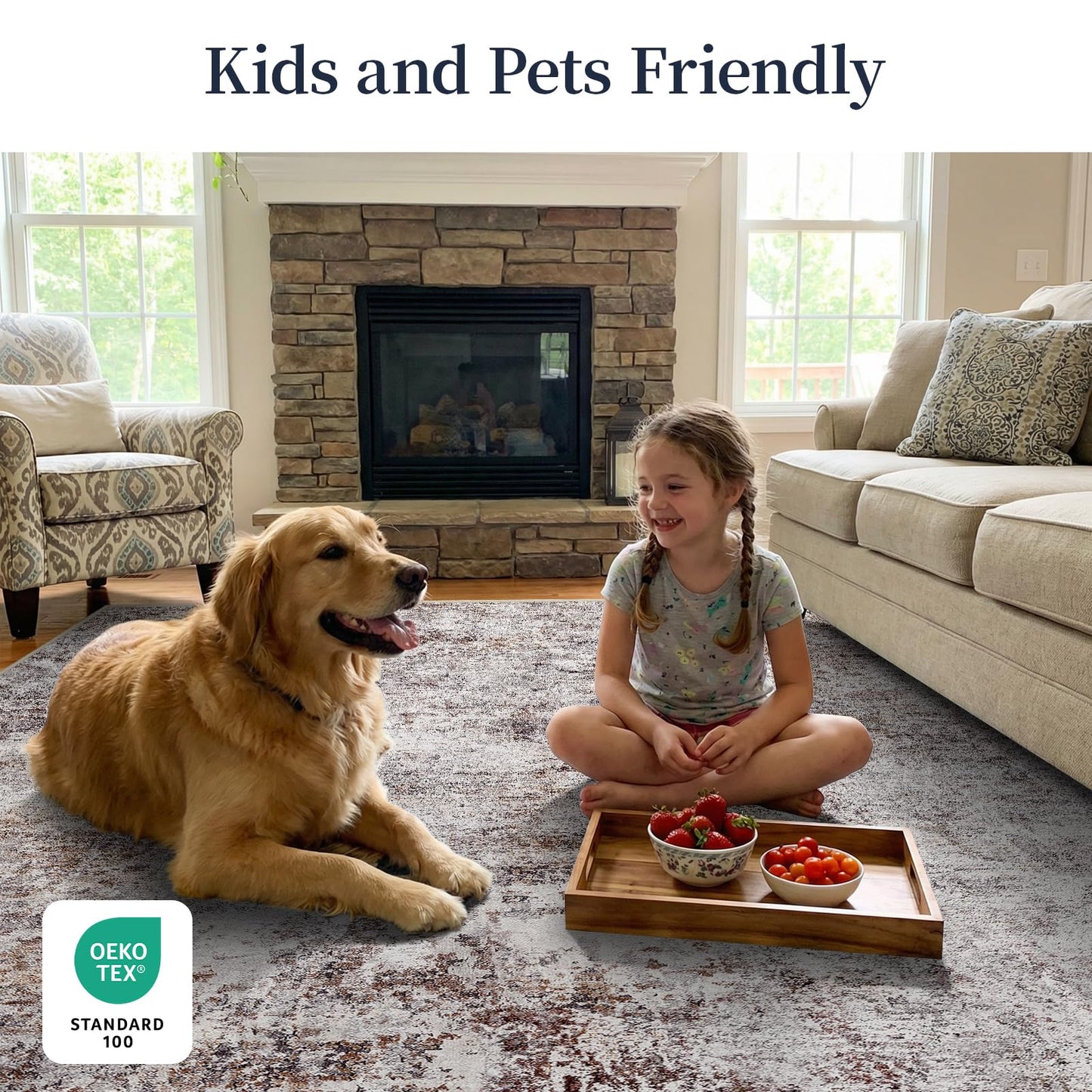 Pet Friendly Washable 4x6 Rug: Easy to Clean Durable Carpet for Homes With Pets or Elderly Anti Skid Backing for Hardwood or Tile Floors Ideal for High Traffic Living Room Dining Room (Brick Gray,4x6)