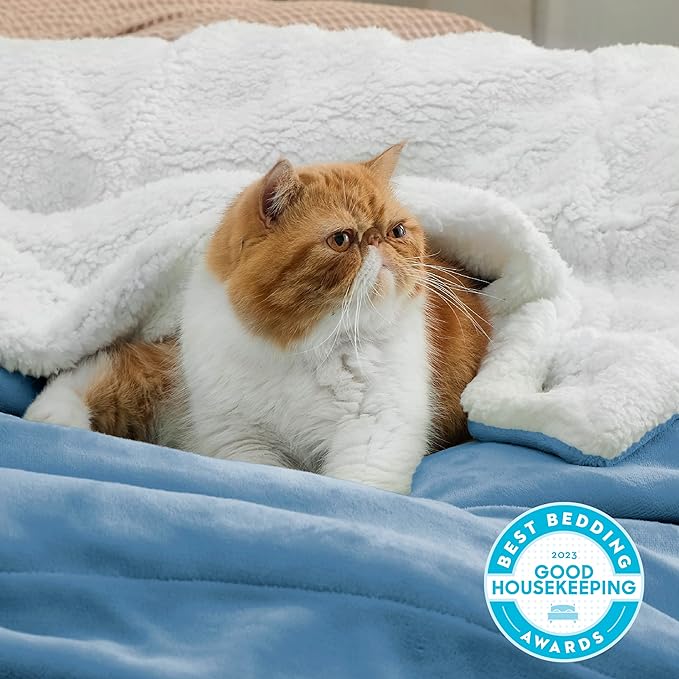 Bedsure GentleSoft Sherpa Fleece Blankets Queen Size for Bed - Thick and Warm Throw for Men, Soft Fuzzy Plush Queen Blanket for Winter, Washed Blue, 90x90 Inches