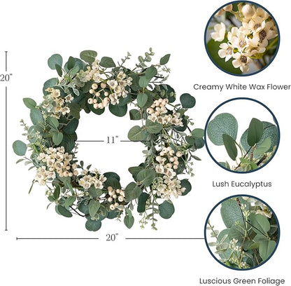 Sullivans 20 Inch Eucalyptus and Waxflower Wreath, Spring, Summer, and Everyday Artificial Wreath, Front Door Decor, Indoor & Outdoor Wreaths, Entryway and Porch Décor