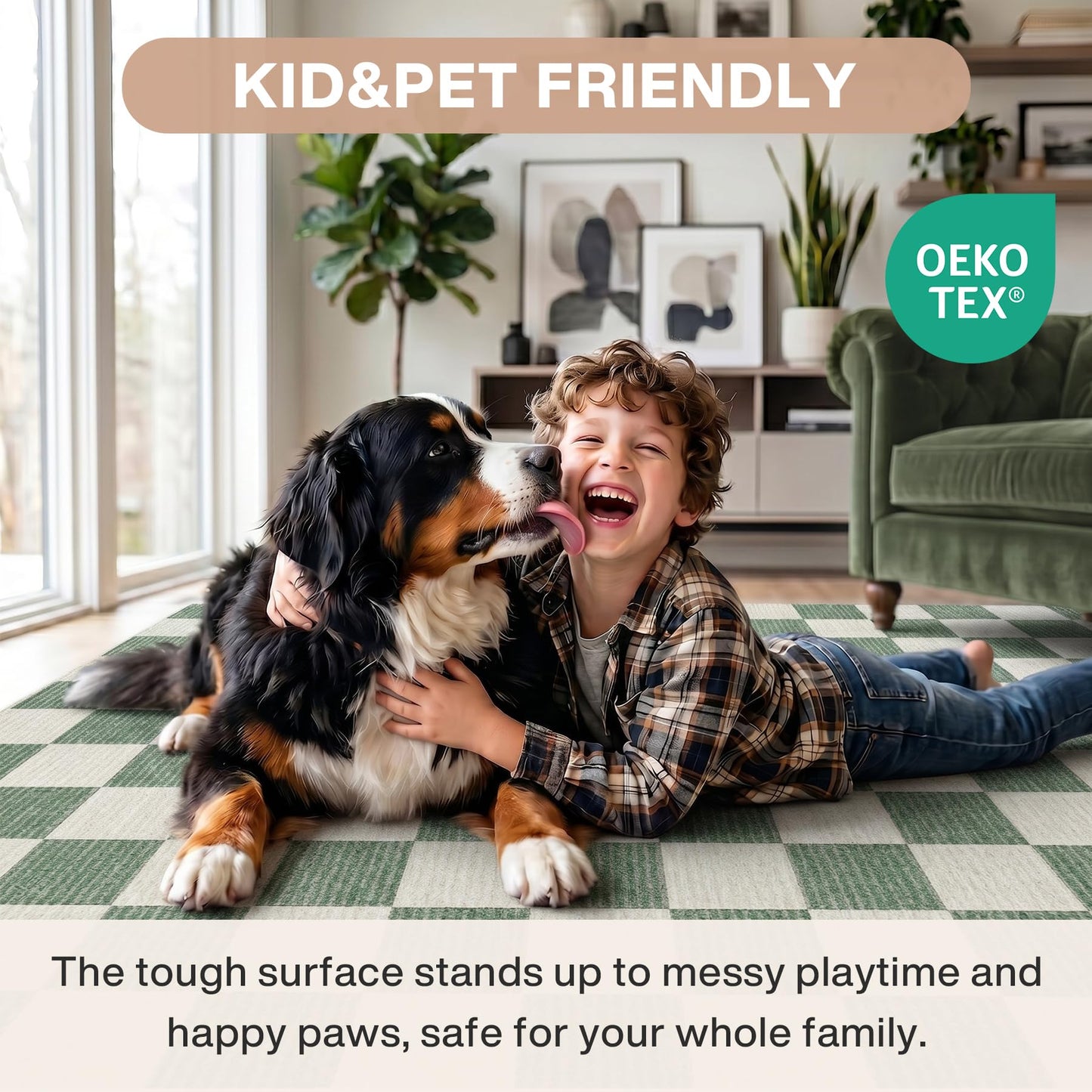 Tribesigns Checkered Washable 5x7 Area Rugs for Living Room, Soft Non-Slip Sage Green Rug for Bedroom, Geometric Printed Dining Room Carpet for Office Playroom Decor, Oeko-Tex Certified