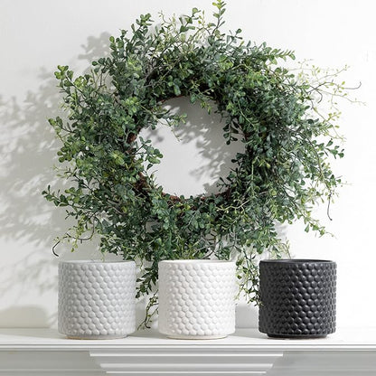 Sullivans Blue Boxwood Decorative Artificial Wreath, Wreaths for Front Door, Front Porch Décor, Fake Plants, Door Decorations, 24 x 7”, Green