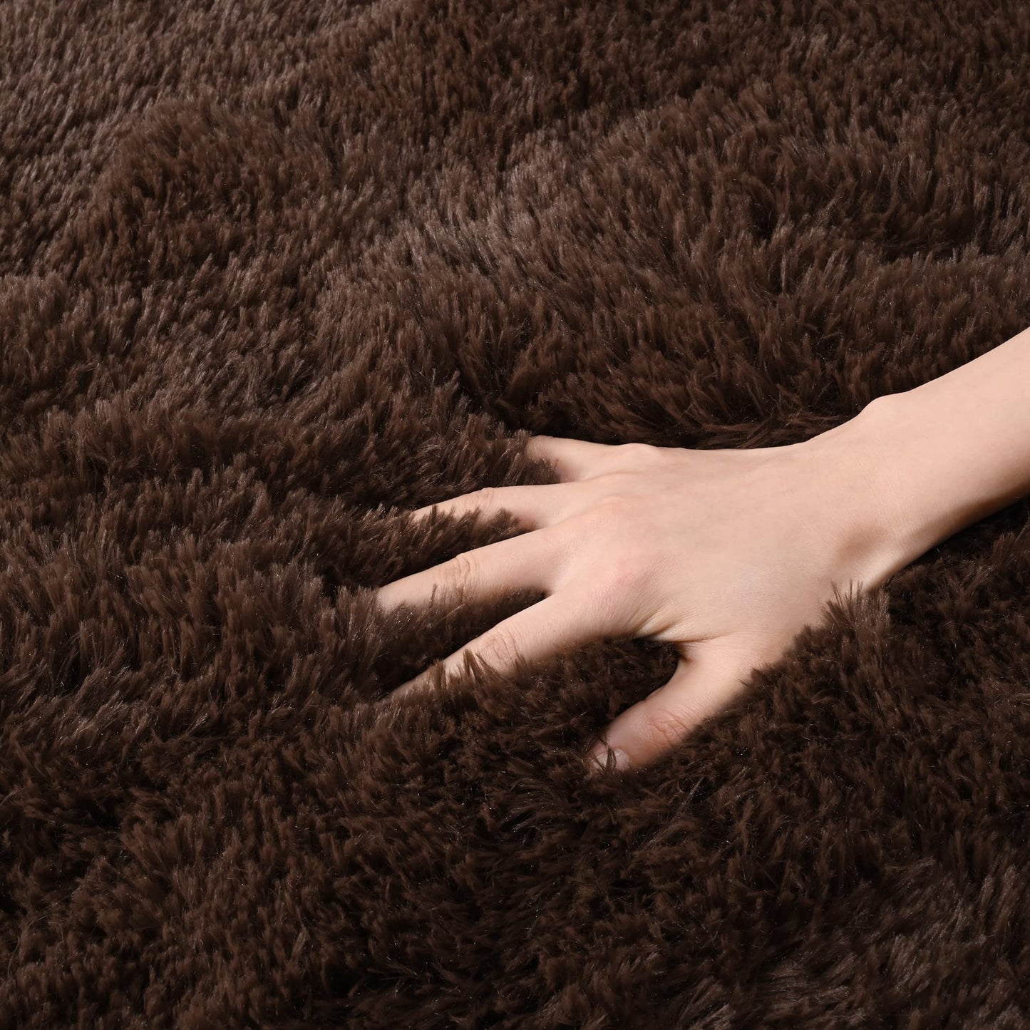 DETUM Fluffy Area Rug Coffee 4x6 for Bedroom Soft Living Room Rug Large Washable and Nonslip Carpets Modern Home Decoration
