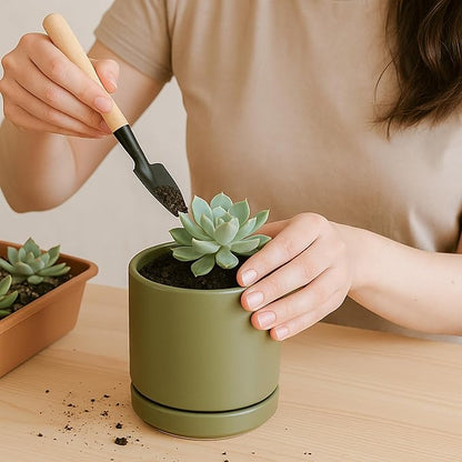 D'vine Dev Set of 4 Small Ceramic Plant Pots, 3.5 Inch Succulent Planter Pot for Plants with Drainage Hole and Saucer, Olive, 94-X-A-0