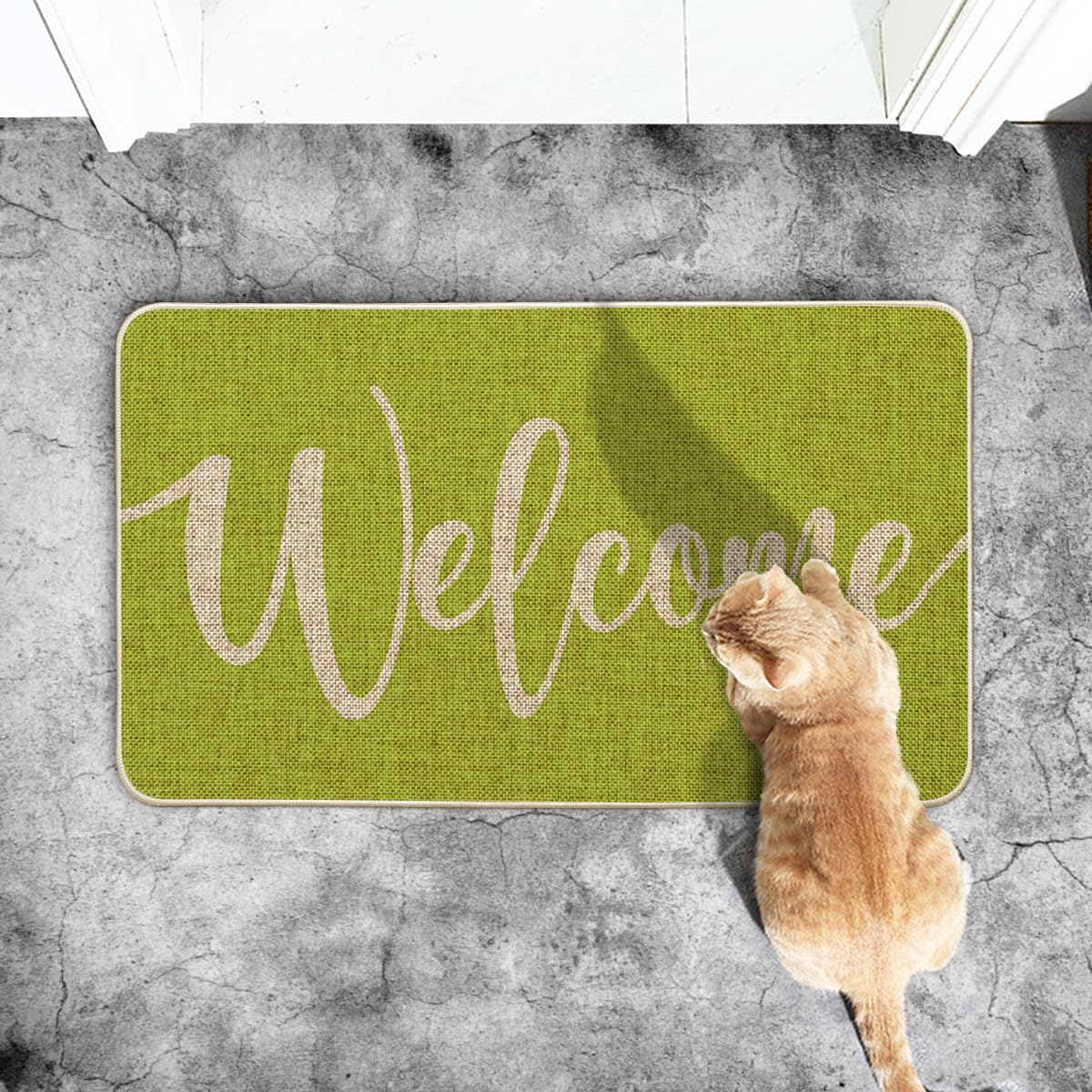 Artoid Mode Green Welcome Spring Doormat, Home Summer Decor Switch Rug Door Mat Floor Mat 17x29 Inch