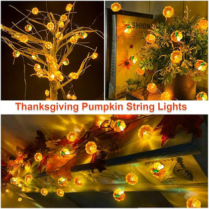 TURNMEON 2 Pack 3D Thanksgiving Pumpkin Lights Thanksgiving Decorations, Total 20Ft 40LED Warm White Pumpkin String Lights Battery Operated Thanksgiving Light Thanksgiving Decor Fall Home Indoor Decor