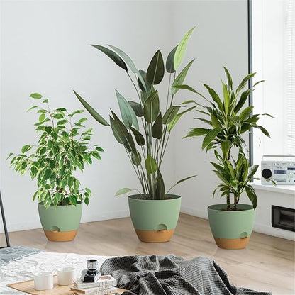 ZMTECH 9/10/12 Inch Plant Pots Sets, Selfwatering Planters with Drainage Holes Saucers for Indoor Outdoor Plants, Plastic Flower Pots for House Kitchen Window Garden(Green, 3 Pack)