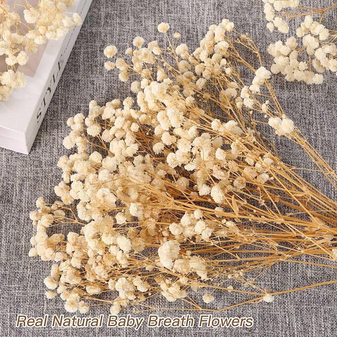 Babys Breath Dried Flowers Bouquet-17'' 3000+ Dry Flowers, Natural Gypsophila Branches for Wedding, Home Table Vase Decor, DIY Wreath Floral, Fall Thanksgiving Autumn Decoration (Ivory White, 3oz)