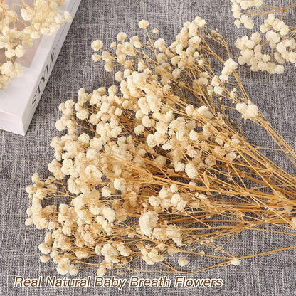 Babys Breath Dried Flowers Bouquet-17'' 2000+ Dry Flowers, Natural Gypsophila Branches for Wedding, Home Table Vase Decor, DIY Wreath Floral, Fall Thanksgiving Autumn Decoration (Ivory White, 2oz)