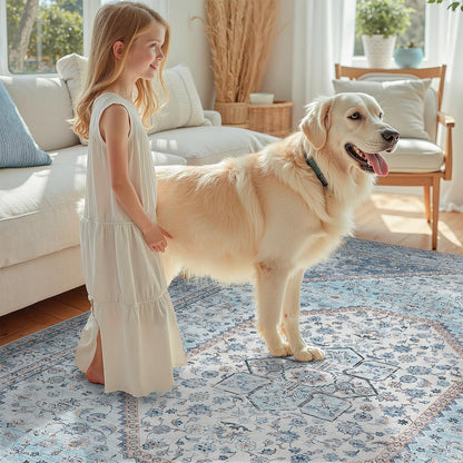 DCX Blue 5x7 Rug, Machine Washable Stain Resistant Kid & Pet Friendly with Rubber Back Non Slip Vintage Rug for Living Room, Bedroom, Home Office, Soft Low Pile Large Carpet