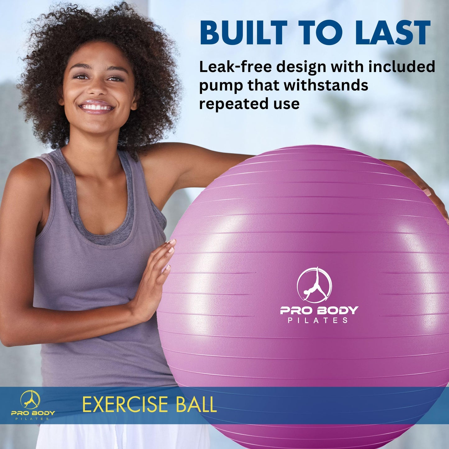 ProBody Pilates Exercise Ball - Multiple Sizes Gym Grade Balance Ball for Fitness, Workout, Pregnancy & Physical Therapy, Stability Yoga Ball Chair (Purple, 65cm)