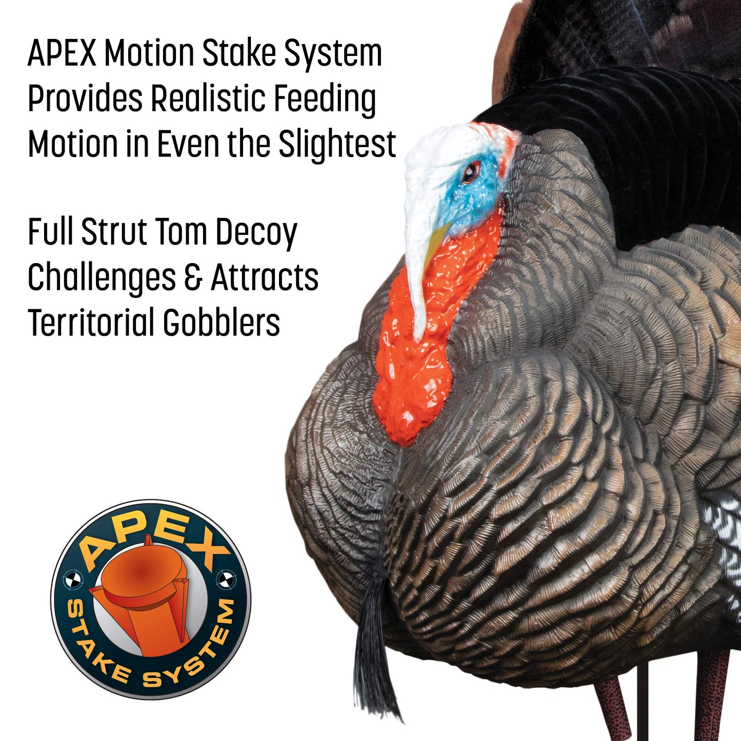 Higdon Outdoors Apex Full Strut Tom Turkey Decoy with Magnetic Removeable Fan for Turkey Hunting