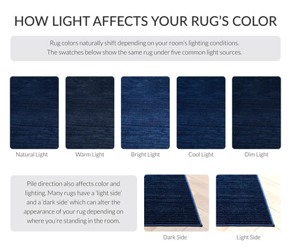 SAFAVIEH Area Rug 6x9 - Vision Collection - Navy, Modern Ombre Design, Non-Shedding & Easy to Clean, Ideal for Living Room, Bedroom, Dining Space (VSN606N)