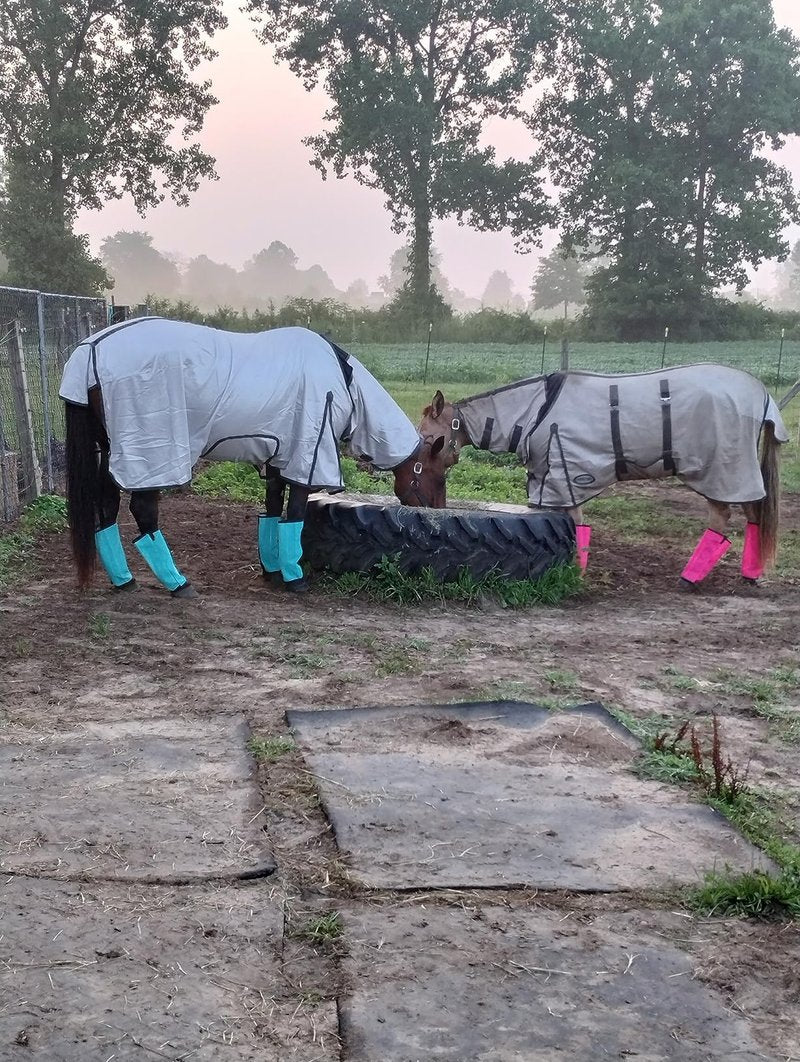 NizHome Horse Fly Boots, Fly Boots for Horses Set of 8, Breathable Mesh Horse Leggings Reduce Stomping & Foot Fatique Pet Supplies (8 Pack,Orange & Mint)