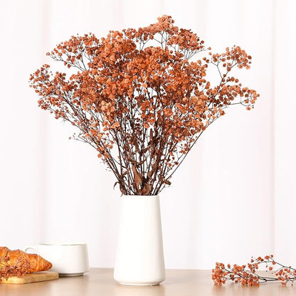 Babys Breath Dried Flowers Bouquet-17'' 3200+ Ivory Dry Flowers, Natural Gypsophila Branches for Wedding, Home Table Vase Decor, DIY Wreath Floral, Fall Thanksgiving Autumn Decoration (Brown, 3.5oz)