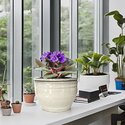 African Violet Pots Self Watering Round Ceramic Violet Pot (White, 6 inch)