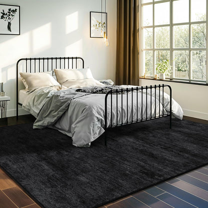 LIANLAM Washable Rug 6x9 Area Rugs for Living Room - Stain Resistant Non-Slip Backing Boho Rug for Bedroom,Durable & Ultra-Thin Vintage Large Area Rug(6x9,Black)