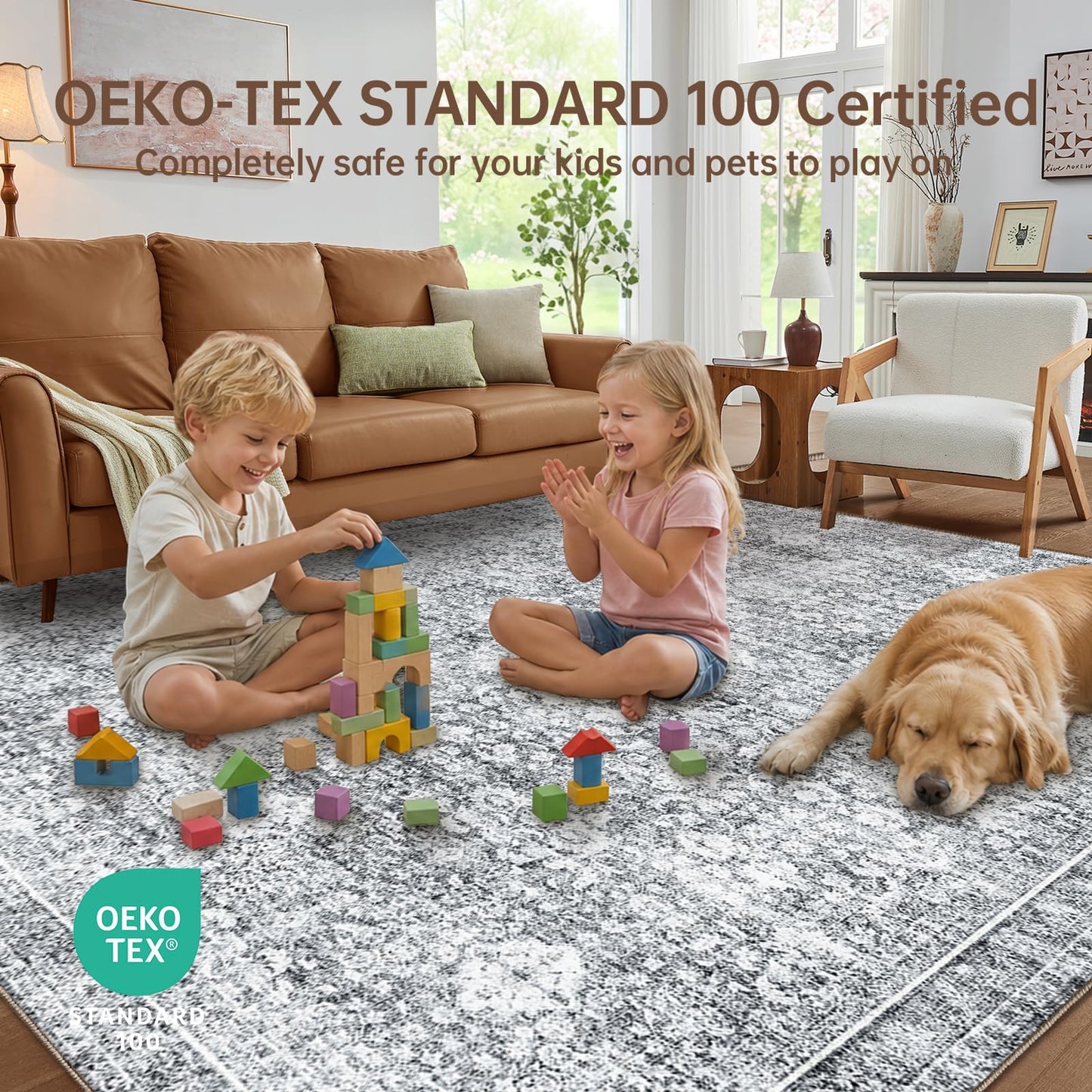 Sasttie 5x7 Area Rugs, Ultra-Soft Washable Rug, Low Pile Foldable Thin Carpets with Non-Slip Backing, Skin-Friendly Stain Resistant Carpet for Living Room, Bedroom, Kitchen, Dorm, 5x7, Light Grey