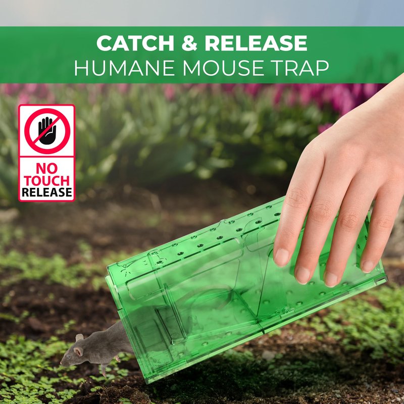 Humane Mouse Trap Pack of 4 - No Kill - Live Mouse Traps Indoor for Home Use - Reusable Rodent Traps for House Indoor, Safe & Effective Rat Trap Outdoor - Humane Mice Control with Cleaning Brush