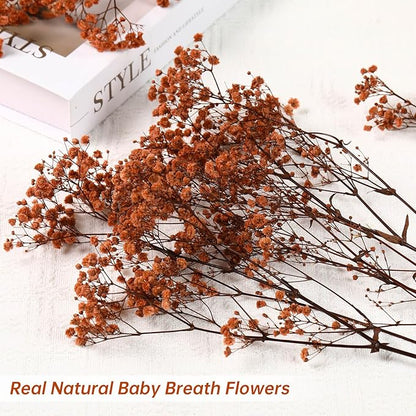 Babys Breath Dried Flowers Bouquet-17'' 4500+ Ivory Dry Flowers, Natural Gypsophila Branches for Wedding, Home Table Vase Decor, DIY Wreath Floral, Fall Thanksgiving Autumn Decoration (Brown, 5oz)
