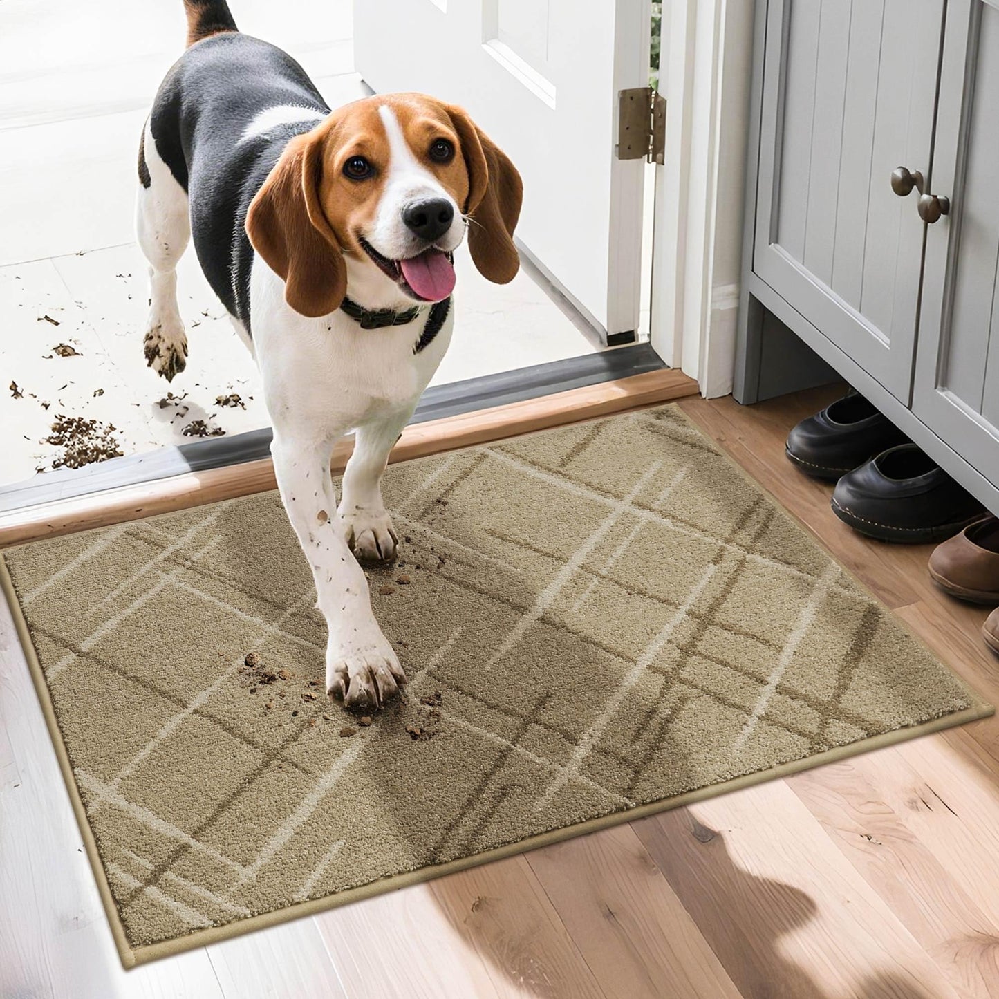 COSY HOMEER Front Door Mat Low Profile Non-Slip Doormat for Entryway, Absorbent Dirt Trapper Washable Entrance Mat, Sturdy Polyester Doormats (32"x20", Beige)