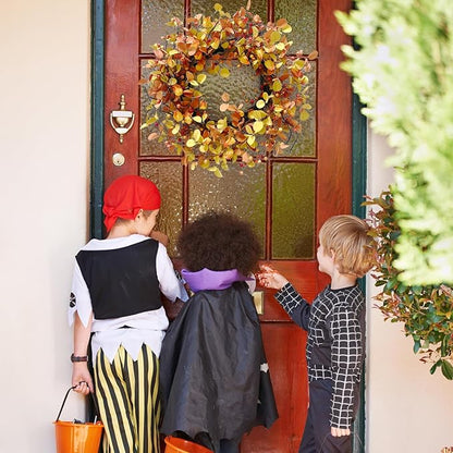24 Inch Fall Wreath for Front Door Berry Autumn Wreath with Yellow and Orange Leaves, Large Grapevine Wreaths for Fall Door Decor Farmhouse Wall Window Home Decoration